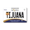 Card Skin - Mexico Placas (Mexican License Plate) Card Stickers