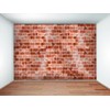 8"x4"x2"Himalayan Pink Salt Bricks & Tiles Pack of 6 for