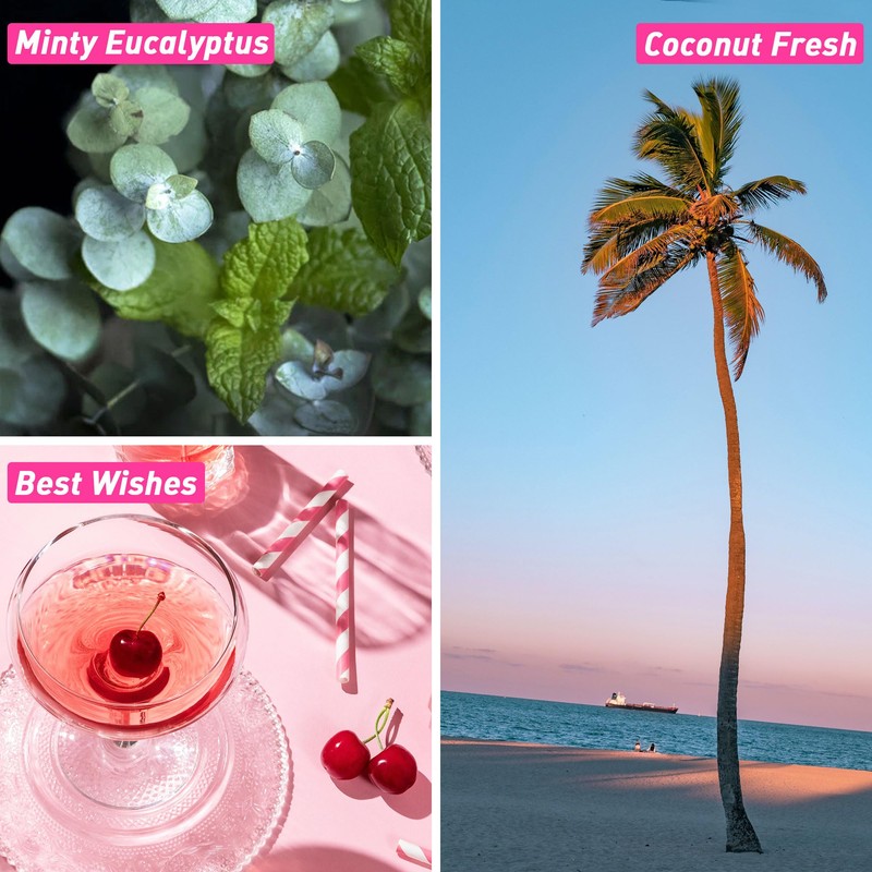 ESSLUX Fragrance Oil, ESSLUX Clean and Bath & Body Collections