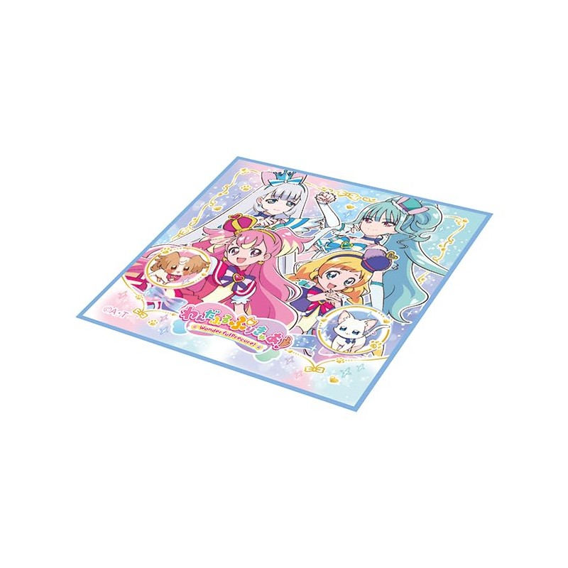 Komori Resin, Wandafuru Puri Kyu! Hot Towel Set