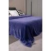 Mellowdy Extra Thick Hearty Plush Flannel Blanket (Violet Purple, 60x80)