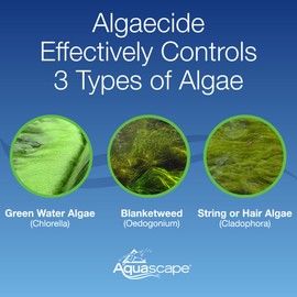 Aquascape 96026 Algaecide for Pond, Waterfall, and Water Features, 1-Gallon