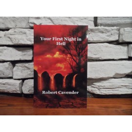Your First Night In Hell: Soul Winning Book by Robert Cavender (2016,Paperbac