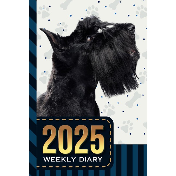 2025 Weekly Diary: Hardcover / 6x9 Dated Personal Organizer /
