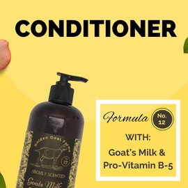 Black Canyon Home and Body Golden Goat Farms Chocolate Lovers Scented Hair Conditioner with Goat Milk, 16 Oz (2 Pack)