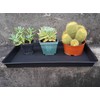 VUWEZ 2 Pack Plant Saucer Tray Rectangular, Plant Growing Nursery