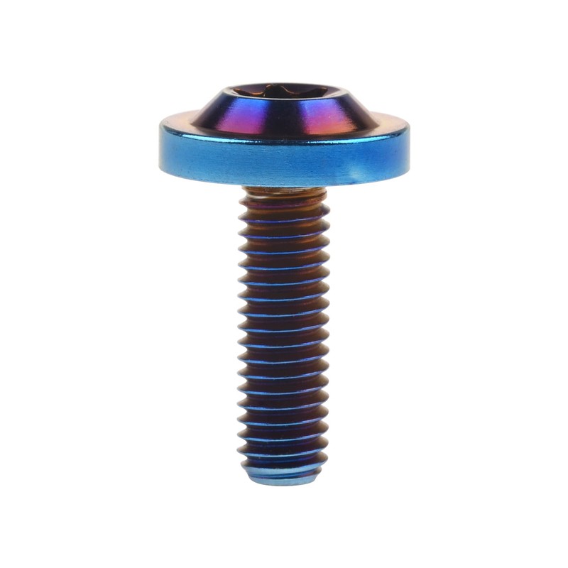 Wanyifa Titanium Bolt M6 10 15 20mm Torx T30 Screws