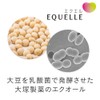 Otsuka Pharmaceutical Equel 112 Tablets