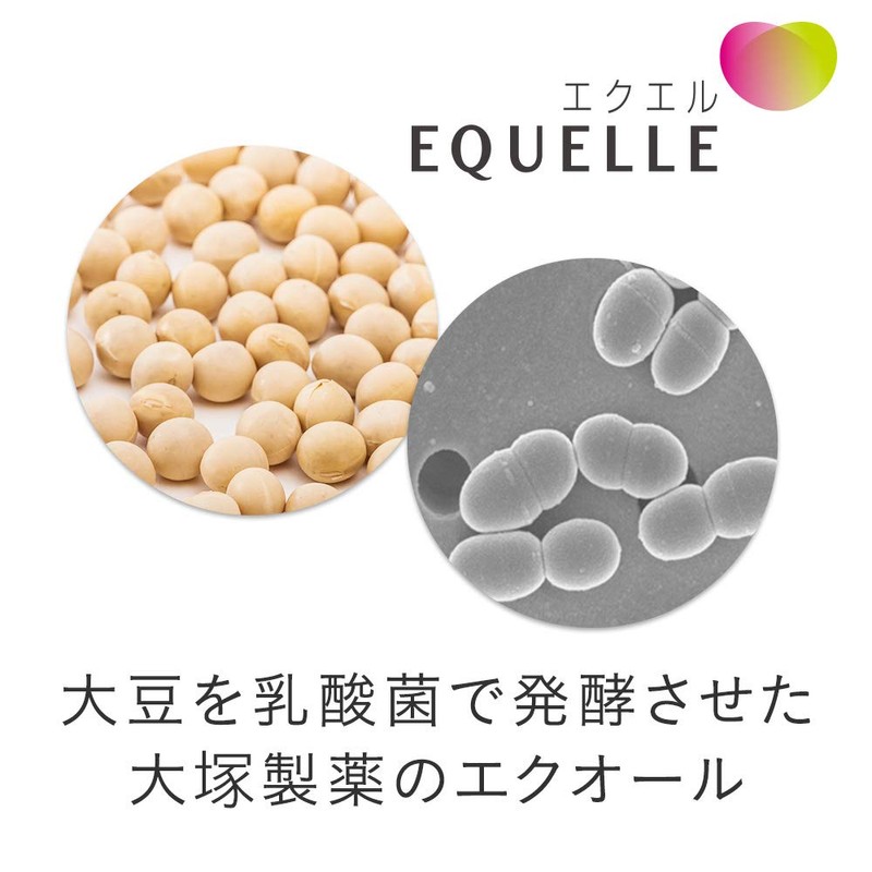 Otsuka Pharmaceutical Equel 112 Tablets