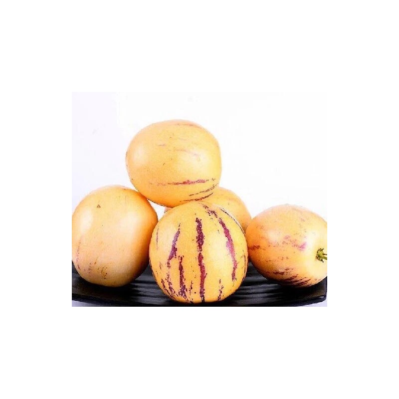 Pepino Melon 1 Pepino Melon Plant 8” With Pot Golden