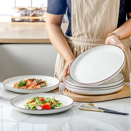 HVH Porcelain Dinner Plates Set of 6, 10.25 inch Ceramic Plates Set, Large Dinner Plates Set for Dinner, Salad, Ceramic Dinner Plates, Healthy Dinner Plates Set of 6, Farmhouse Style (White)