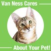 Van Ness Plato para Gato Anti derrapante Morado, 8 oz,