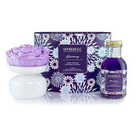 Spongellé BlackBerry Reed Diffuser – Bold Fruity Fragrance for Home, Elegant Glass Jar, Long-Lasting Scent, Premium Gift Box – Private Reserve Collection