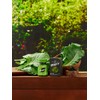 Veggie Fit Kale Spirulina Vitamin B (60 tablets, 2 months