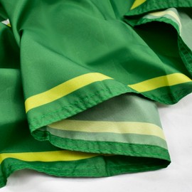 Delta Chi Fraternity Greek Letters Flag, Two-Color Design