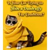 Fluffy Feline Professional Groomer's Choice for Cat Dandruff Treatment Spray