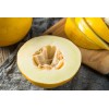 Does Not Apply Canary Melon Seeds Cucumis melo Non-GMO, Shipped