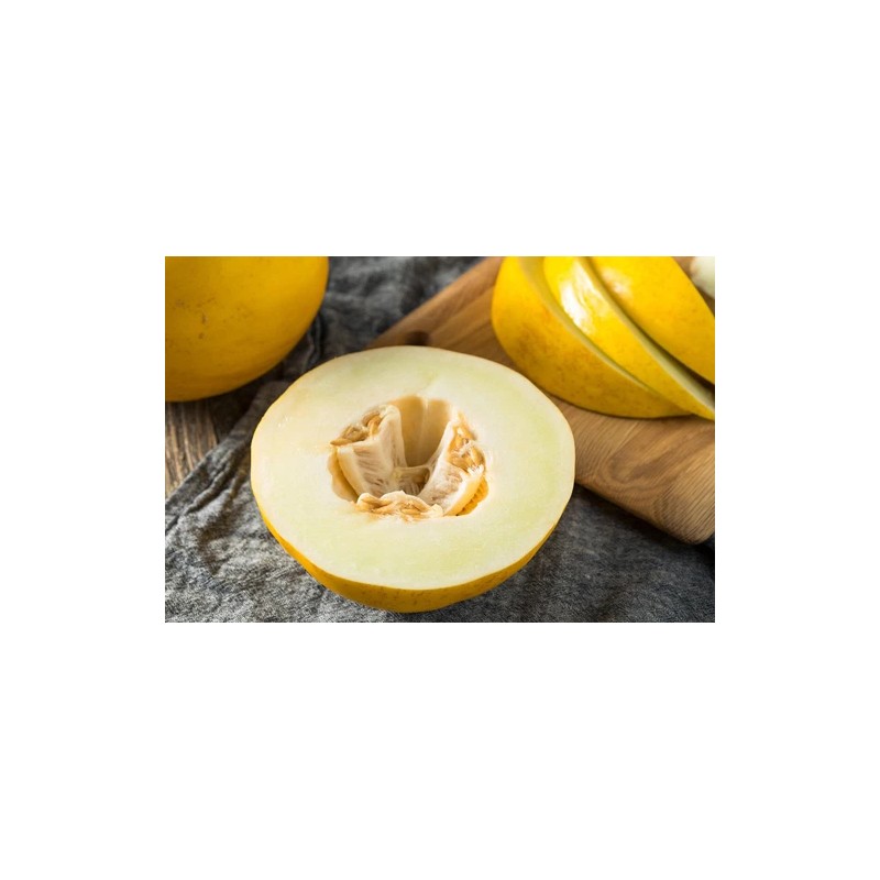 Does Not Apply Canary Melon Seeds Cucumis melo Non-GMO, Shipped