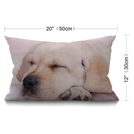 BGBDEIA Dog Lumbar Cushion Cover 30X50cm 12x20 Inch Decorative Bedroom Living Room Funny Sleeping Labrador Puppy Dog Rectanglar Throw Pillow Cover for Bed Sofa Couch
