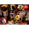 Real Dog Face Magnet riarudoggufeisumagunetto All 6 Species Set gatyagatya