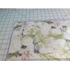 Caspari Two Decorative Hostess Napkins for Decoupage "White Blooms"