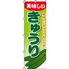 Streamer Cucumber 0100480IN