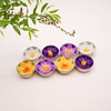 Assorted 8 Crocus Flower Scented Tealights with Neroli Essential Oil