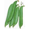 Sword Bean - Shironata Mame - 1 Lb ~352 Seeds