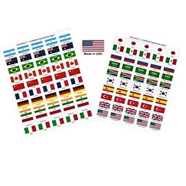 Made in USA! 100 Stickers Representing Group of 20 (G-20) Countries; 1.5" x 1" Self Adhesive World Flag Stickers, Two Sheets of 50 Showcasing 5 Stickers for Each G-20 Country