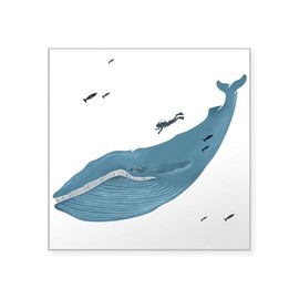 CafePress Blue Whale Sticker Square Bumper Sticker Car Decal