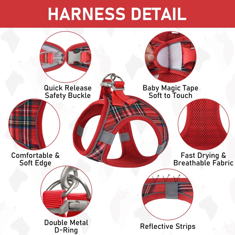 GAMUDA Small Dog Harness Collar and Leash Set, Step in