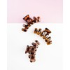 Brushworks Tortoiseshell Claw Clips - Pack of 3