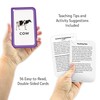 Teacher Created Resources Picture Words Flash Cards (EP62042) 3-1/8" x