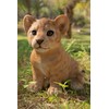 Hi-Line Gift Ltd Pet Pals-Lion Cub Sitting