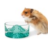 BNOSDM Hamster Food and Water Bowl Mountain Fuji Style Glass