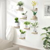 COCIVIVRE Small Floating Shelf Set of 8 Wall Mounted, Mini