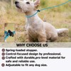 Slip Lead Dog Leash – Strong Nylon Training Rope with