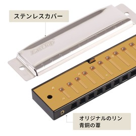East top Harmonica Blues Harmonica, 10 Hole Harmonica, C tone, 10 holes, 20 tone, Stainless Steel Cover, ABS Case, Clean Cloth, For Beginners, Professionals, Study, Practice, Diatonic Harmonica