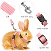Outus Outus 5 Pieces Adjustable Rabbit Harness and Leash Set