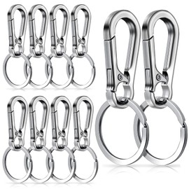 BOHUIZ 10 Packs Metal Keychain Carabiner Clip, Stainless Steel Heavy Duty Key Chain, Keyring Key Ring Chain Clips Hook Holder Key Organizer for Men Women,Silver