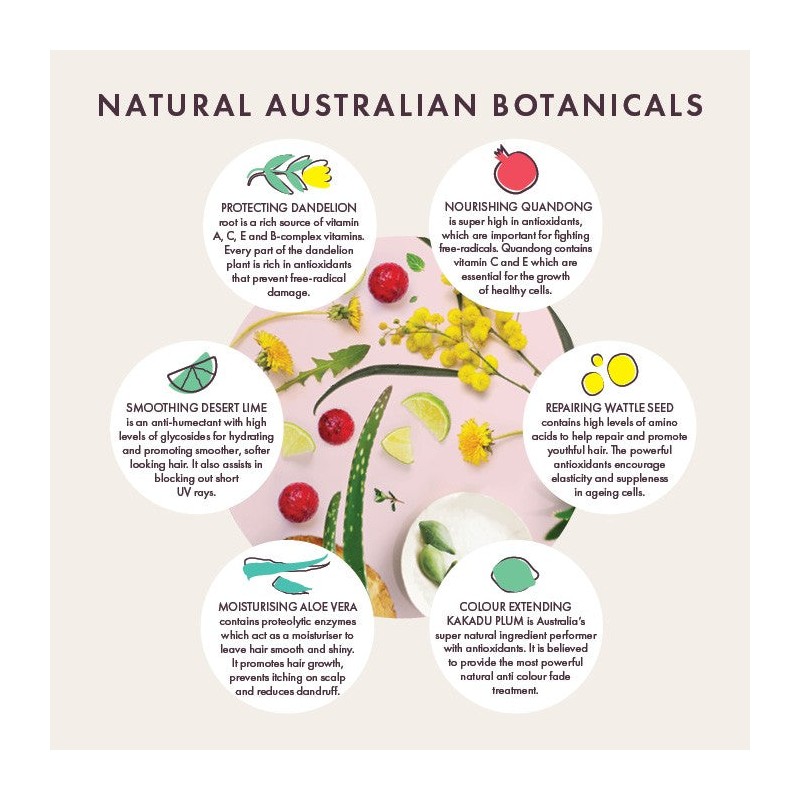 Juuce Softly Nourish Shampoo 300ml