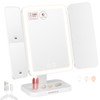 EASEHOLD Vanity Mirror with Lights, 2X 3X Magnification, Trifold, Rechargable,