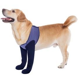 COODEO Dog Socks & Paw Protectors - Front Paws Only, Non-Slip Waterproof Dog Boots to Prevent Paw Licking, Protect Wounds & Aids Post-Surgery Recovery (Purple, L)