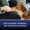 Canosept Gelenktabletten Hund - Einzigartige Rezeptur: Mit Grünlippmuschel Hund, Glucosamin,