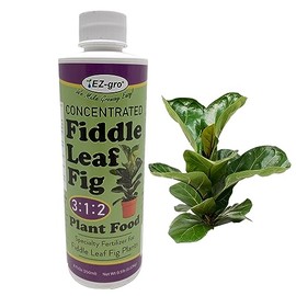 EZ-GRO Liquid Fiddle Leaf Fig Plant Food - 8 oz Bottle | 3 1 2 NPK Fertilizer for Indoor Plants | Concentrated Nutrients Liquid Indoor Plant Food for Healthy Growth
