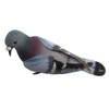 Artificial Simulated Foam Birds, Artificial Compression Foam Simulation Pigeon, Mini
