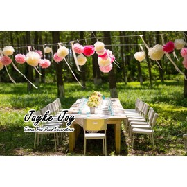 20 Pcs Paper Pom Poms Kit, Tissue Paper Flowers for Birthday, Classroom, Bachelorette, Baby Shower, Girl Nursery Decoration (Pink Mix)