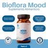 Probióticos y Prebióticos Citrato y Glicinato de Magnesio BIOFLORA Mood
