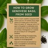 2600 Genovese Basil Seeds for Planting – Heirloom Non-GMO Herb