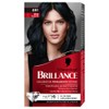Schwarzkopf Brillance Haarfarbe, 891 Noir BleutÃ©